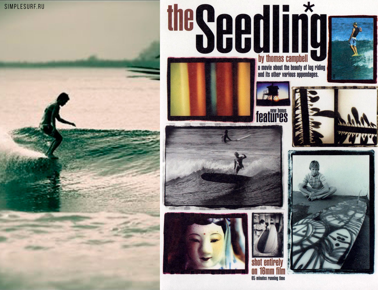 the_seedling the_seedling